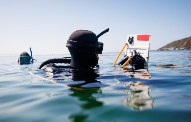Student Scuba divers in clear blue water, one holding a research slate, with coastline visible in the distance.