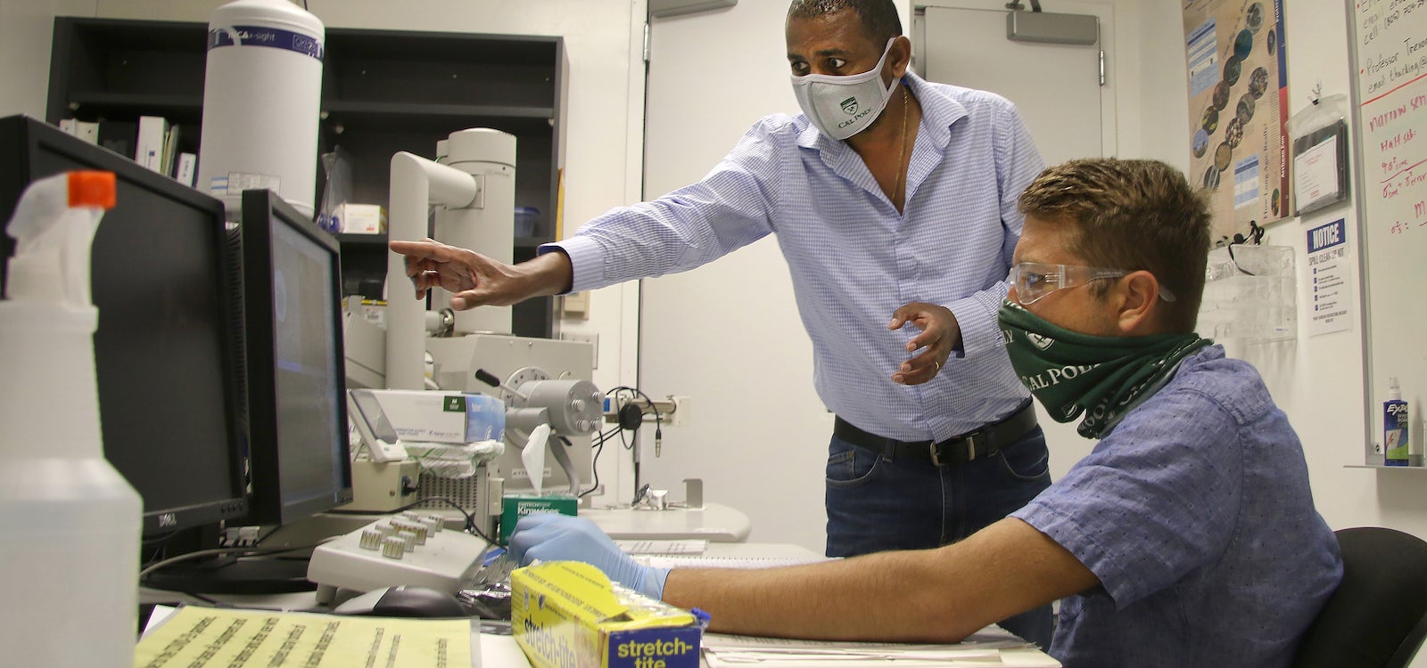 Professor and student review data