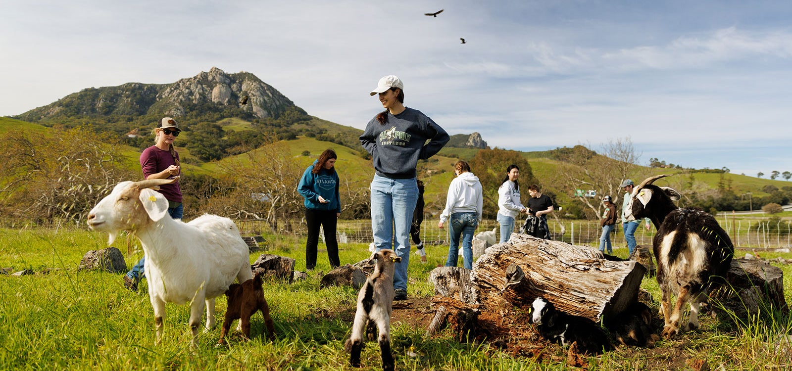 Students in the Goat Enterprise check on newborn kids and their mothers, grazing in a field near campus.