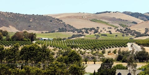 Bartelson Ranch