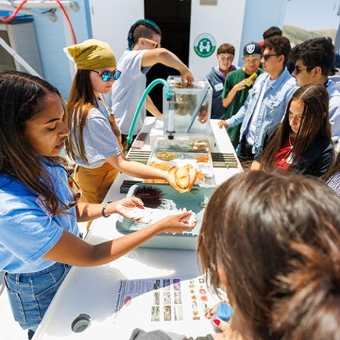 Students examine marine life exhibits on the Cal Poly pier