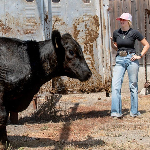 A student helps move cattle on the Brughelli Ranch
