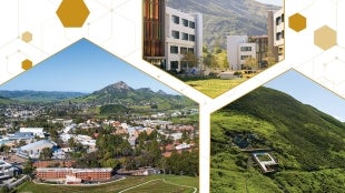 Compilation of three general campus photos