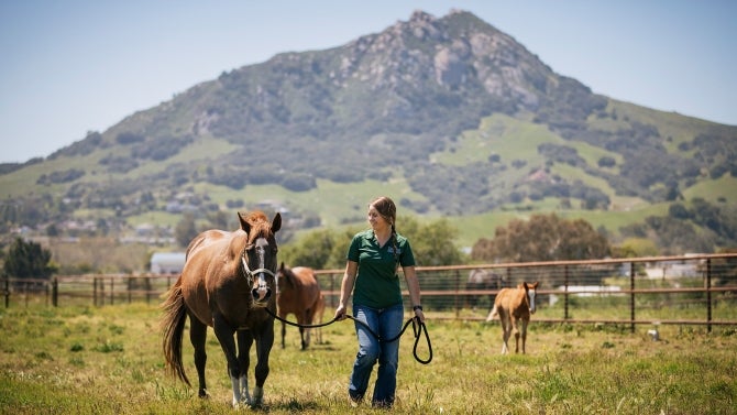Cal Poly student with horse