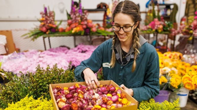 Student sorting yellow dried flowers in the Rose Float workspace.