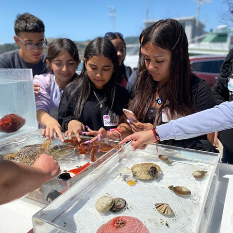 Students examine marine life exhibits on the Cal Poly pier